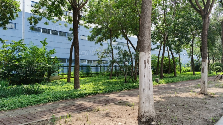 海滨五路外景图