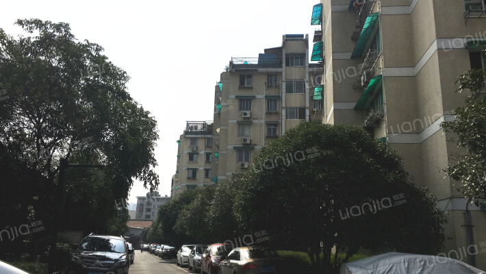 假山新村外景图