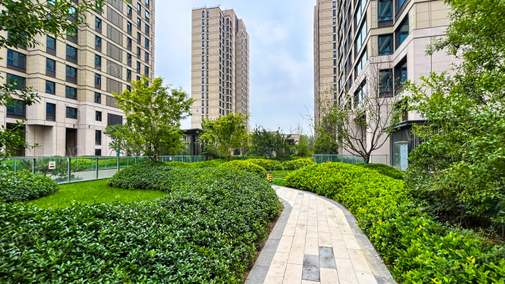 沣水云岭外景图