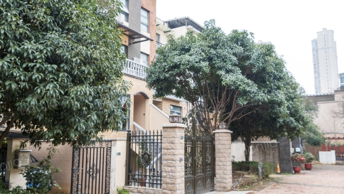 南山苏迪亚诺外景图