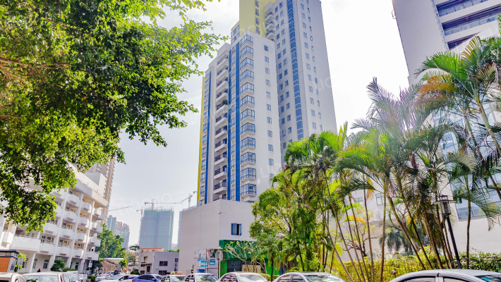 柏桠直街外景图