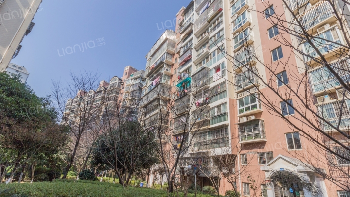 枫林美景外景图