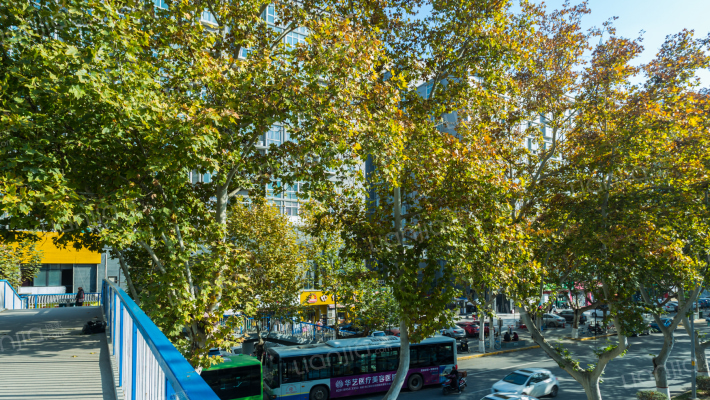 爱西华庭外景图