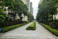 中海新城公馆户型图实景图