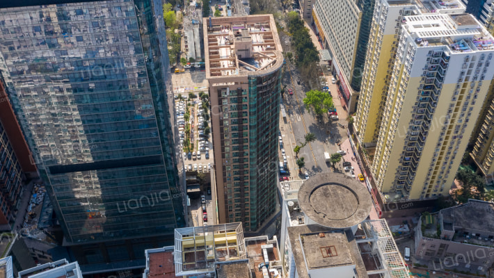 红桂皇冠外景图