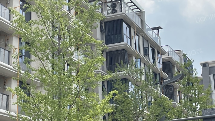 信达麓湖左岸外景图