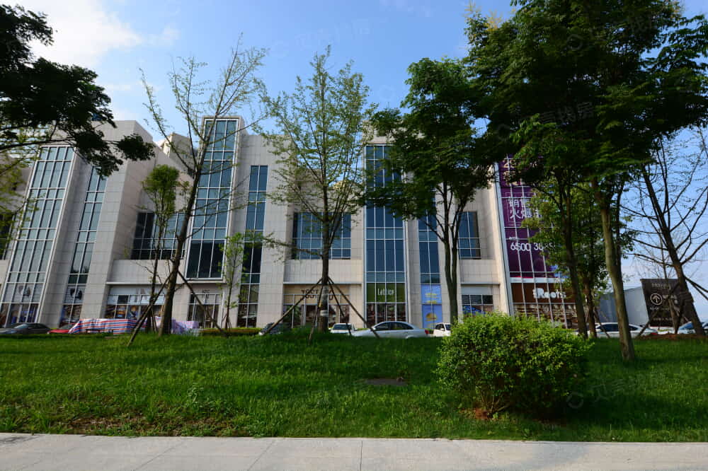 中德麓府实景图