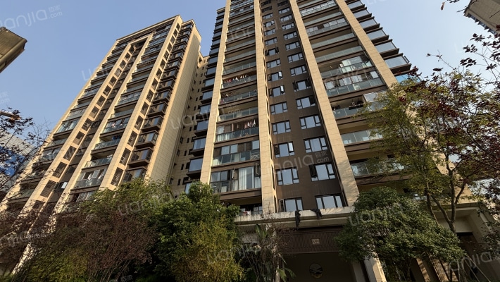 金科禹洲府观邸外景图