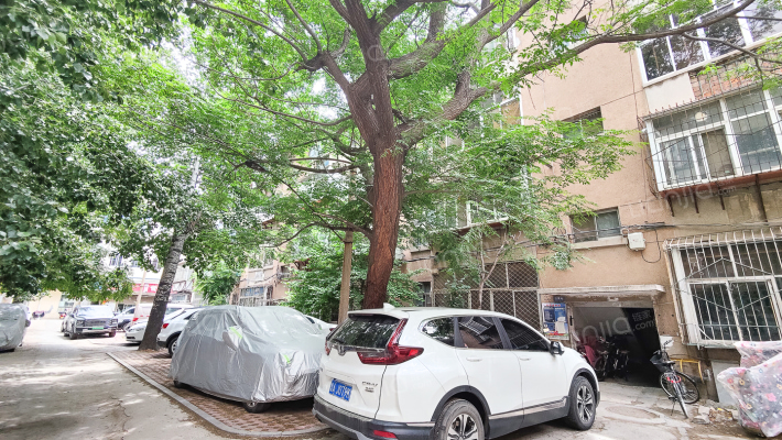 植保站宿舍外景图