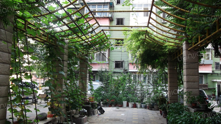 苹果园小区四区外景图