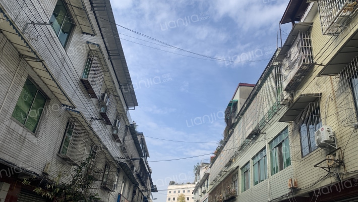 滨河西街外景图