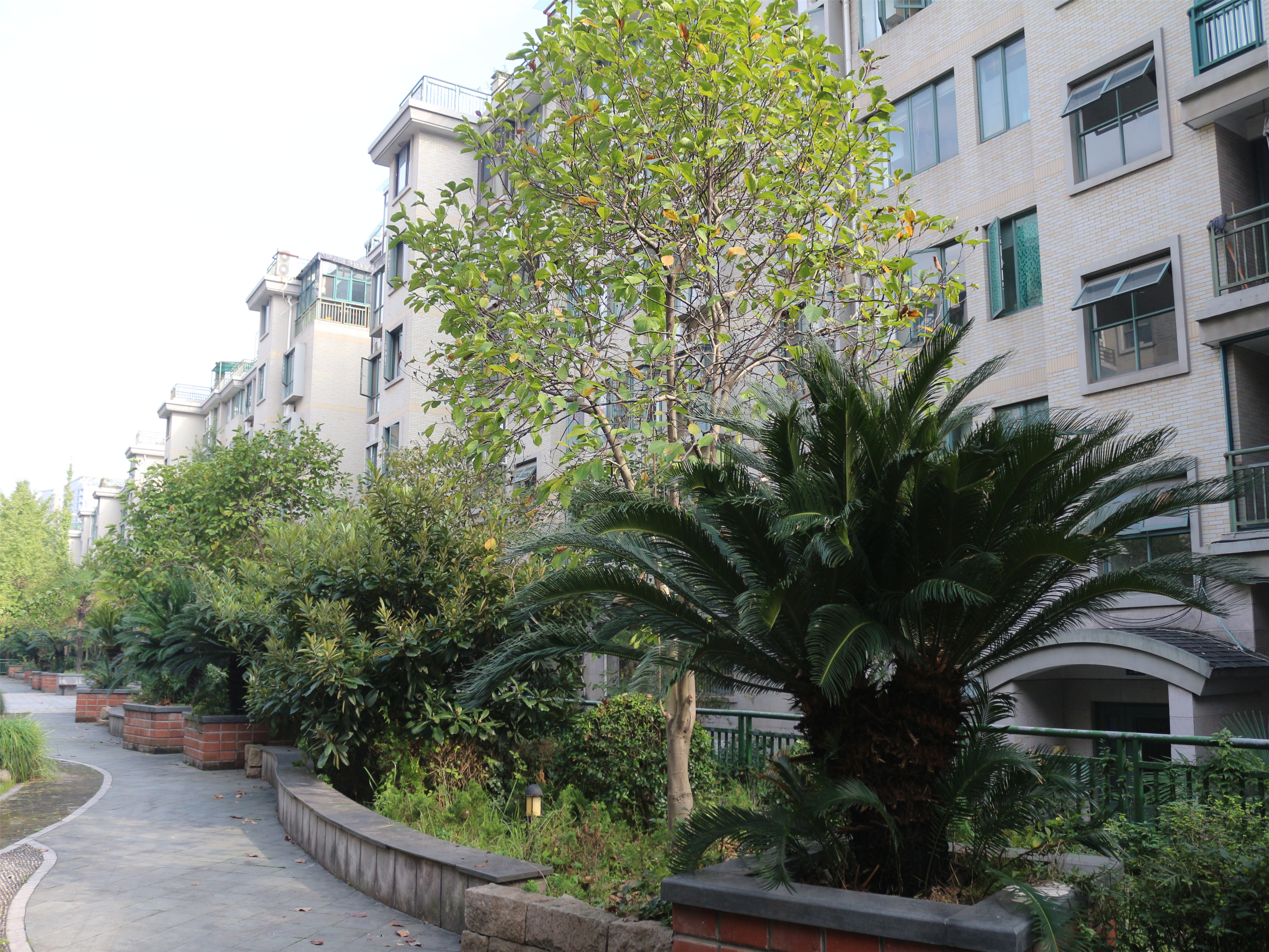 Guo Xin Jia Yuan compound photo 6