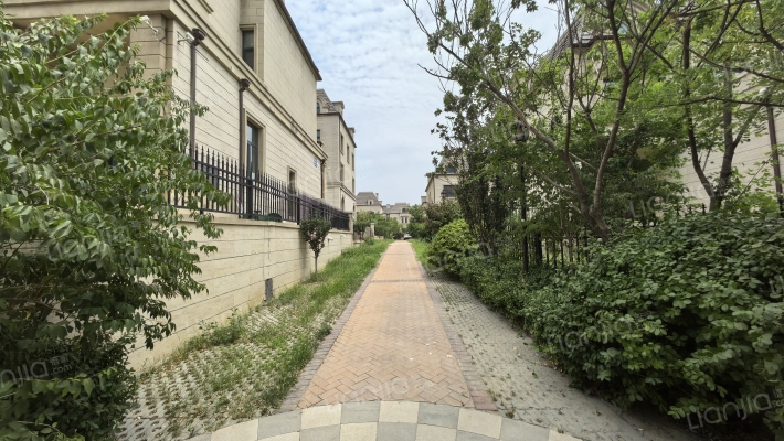 仁爱团泊湖孔雀公馆外景图