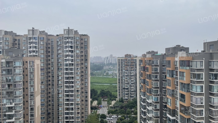 四季长春A区外景图