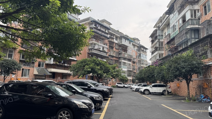 金强柳浪湾5号院外景图