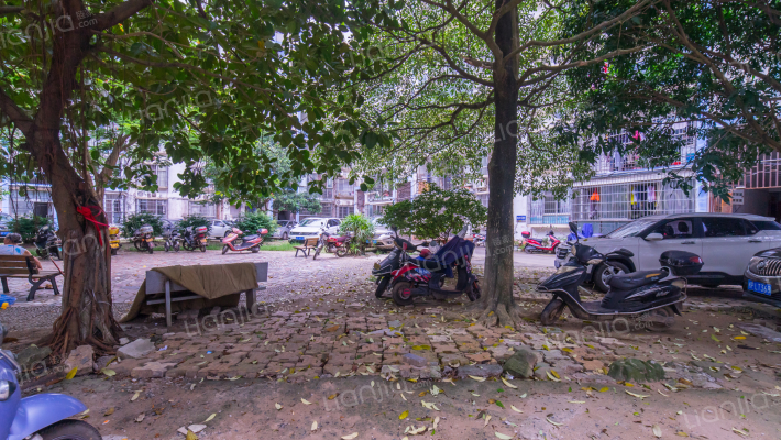 金湾花园外景图