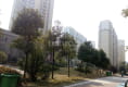 统建同安家园户型图实景图