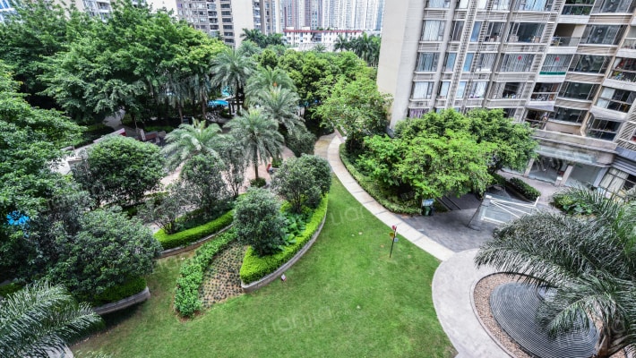 星河国际花园外景图