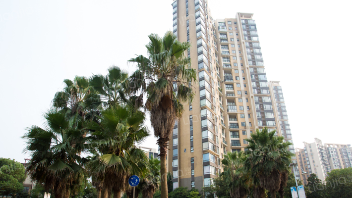 保利心语二期彼岸外景图