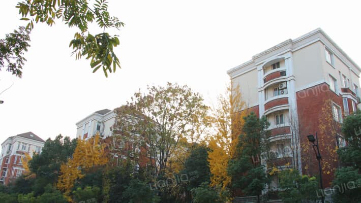 南都德迦东区外景图