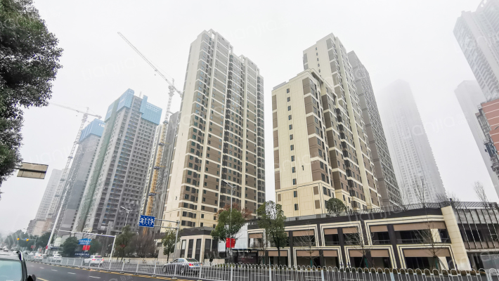 卓越江岸外景图