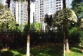 新世纪可居户型图实景图