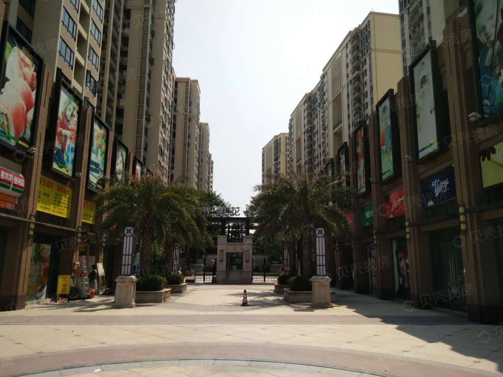 光明花半里相册