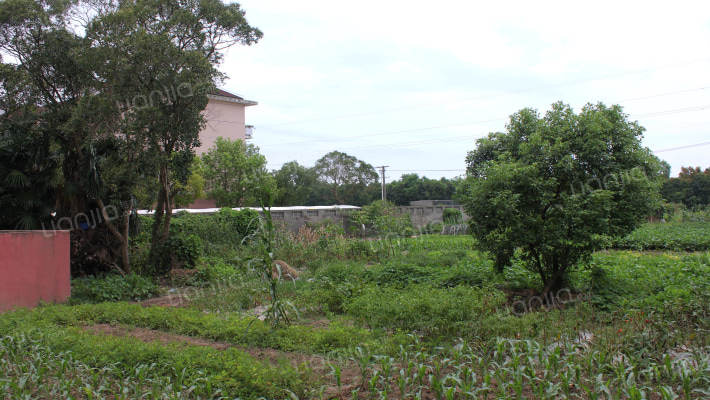 燎原一村外景图