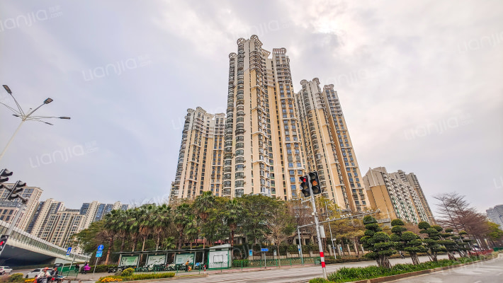 高林居住区一里外景图