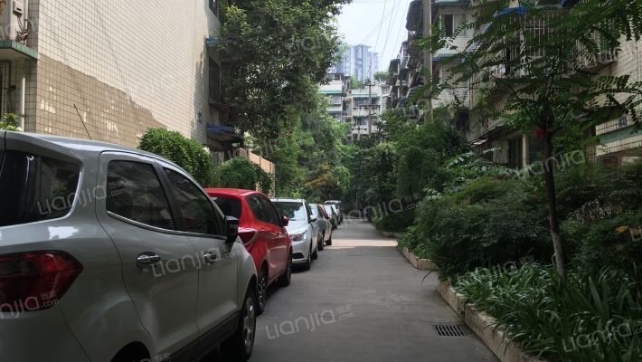 金鹏街176号院外景图