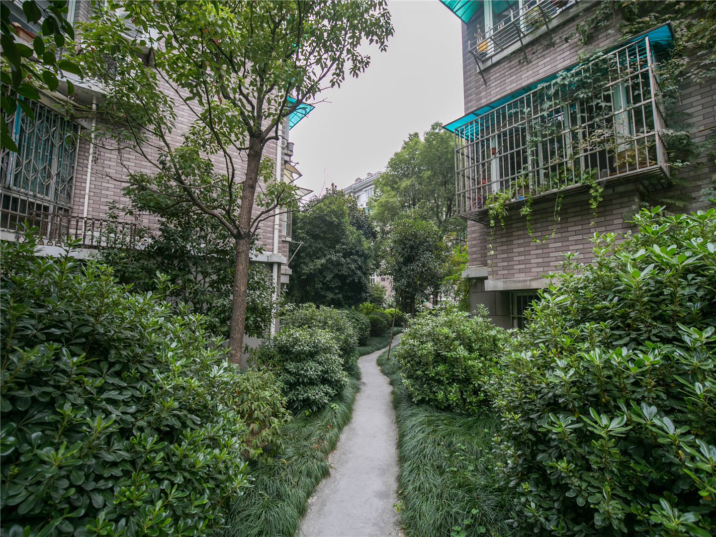 藕花苑小区实景 6