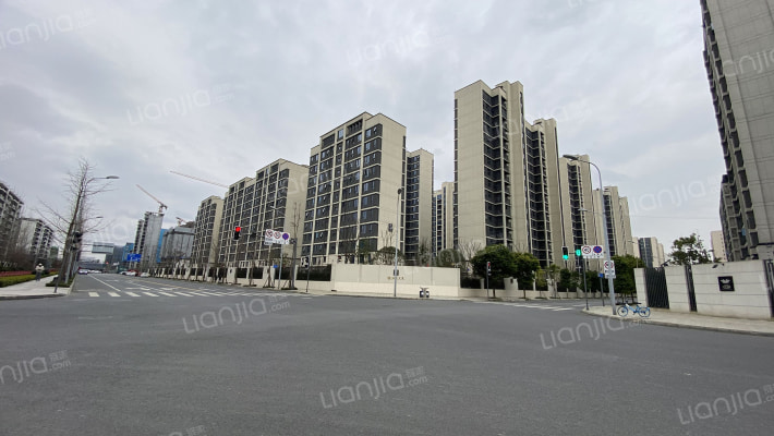 交投电建洺悦天宸外景图