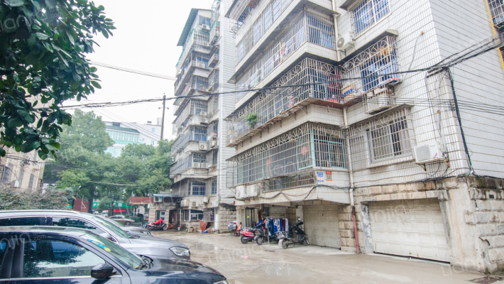 椰林公寓外景图