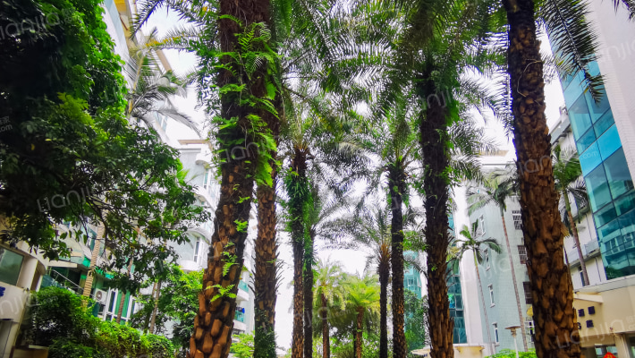 华南新城北区外景图