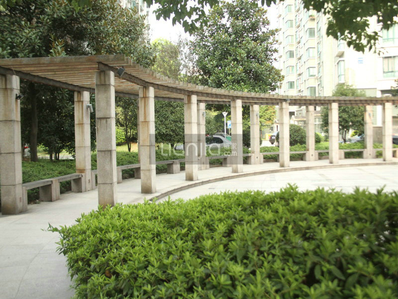 中兴花园小区实景 14