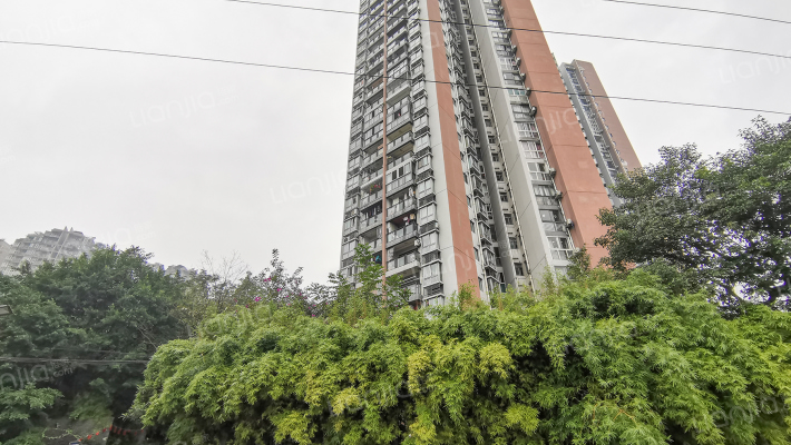 曦圆云岭外景图