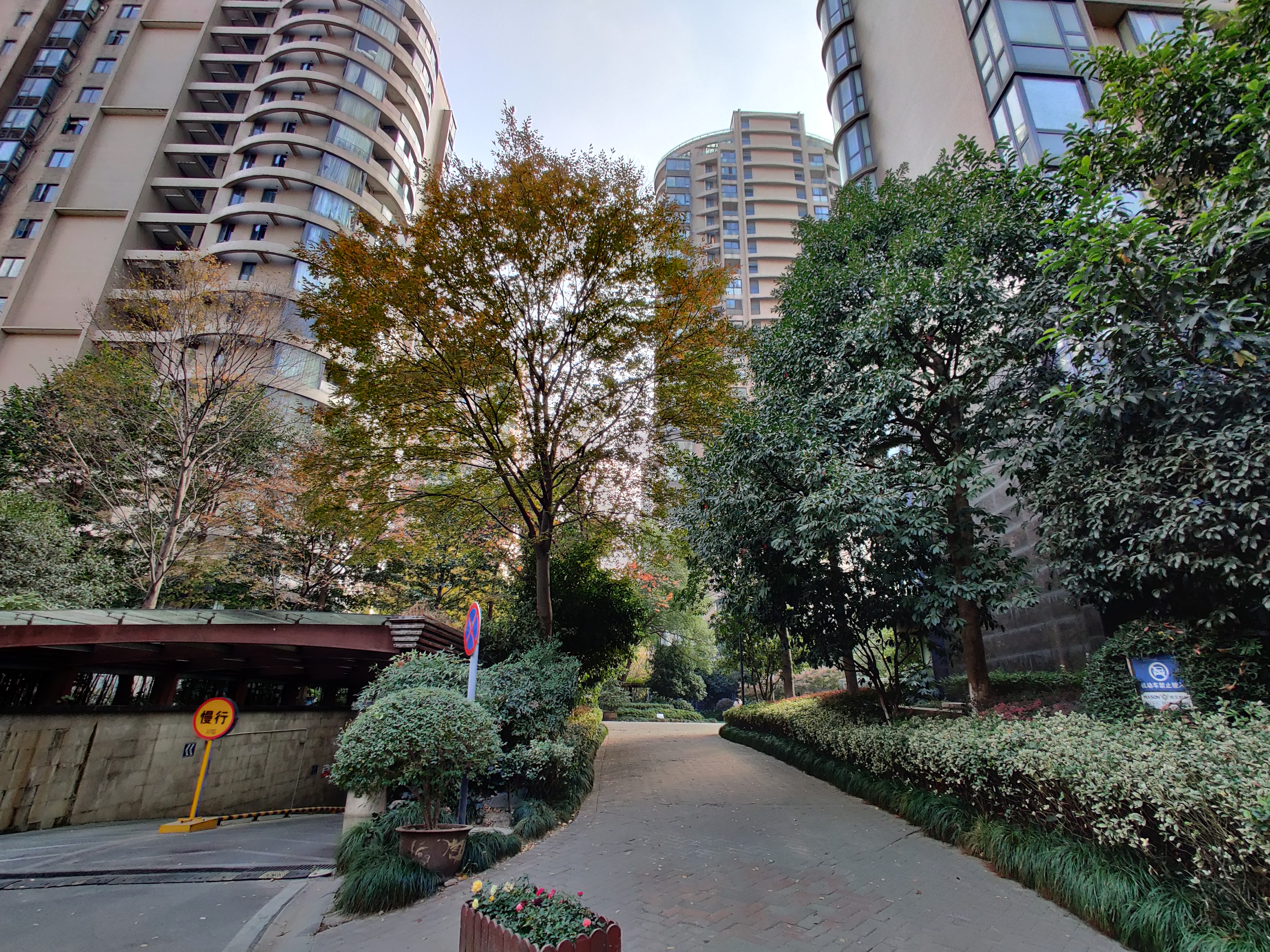 耀江文鼎苑 小区实景 24