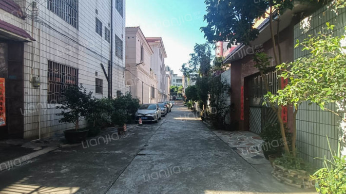 小沥村仁和路外景图