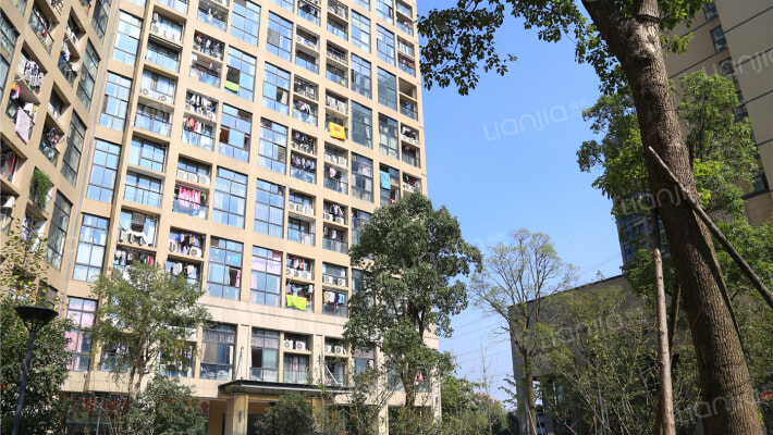 和达自由港外景图