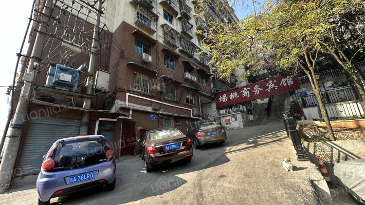 蟠桃宫路1号外景图