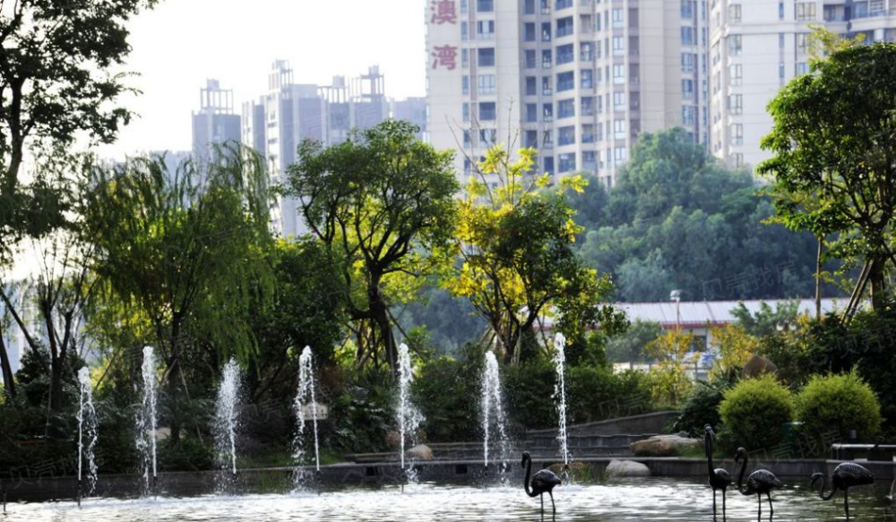 博雅滨江实景图