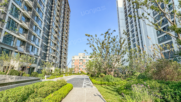 海信观悦外景图