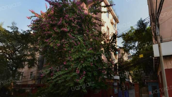 鹤洞路山顶外景图