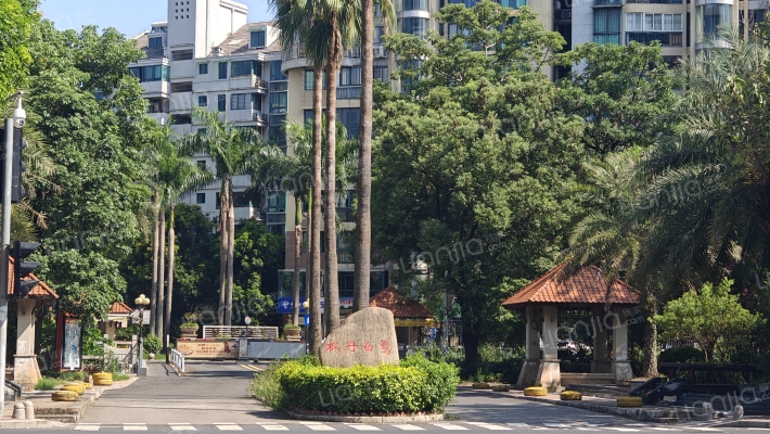 丹枫白露外景图