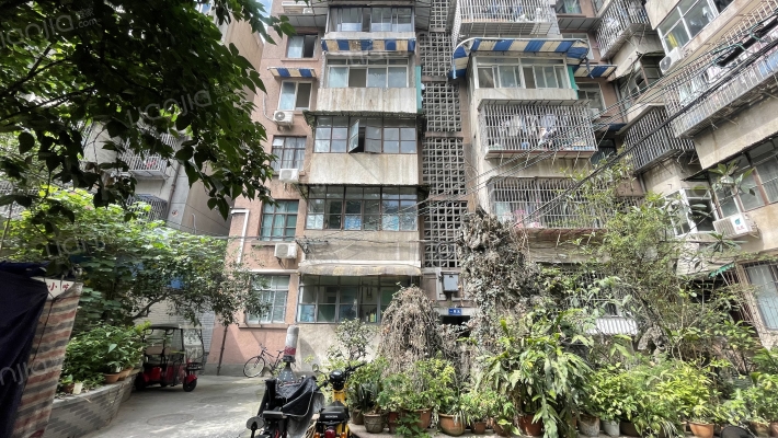 柿子巷13号外景图