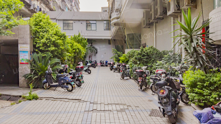 旭日云锦外景图