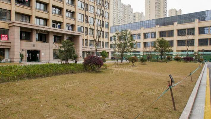 欢腾金座外景图