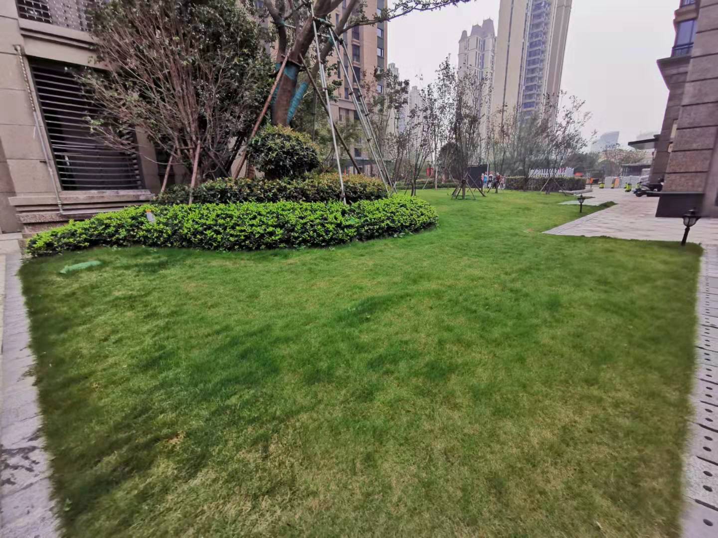 Hengda Shuijing Guoji Guangchang compound photo 11