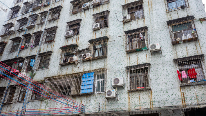 农业局大院外景图