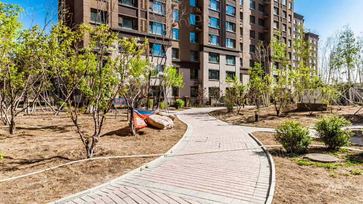 新星宇和顺外景图